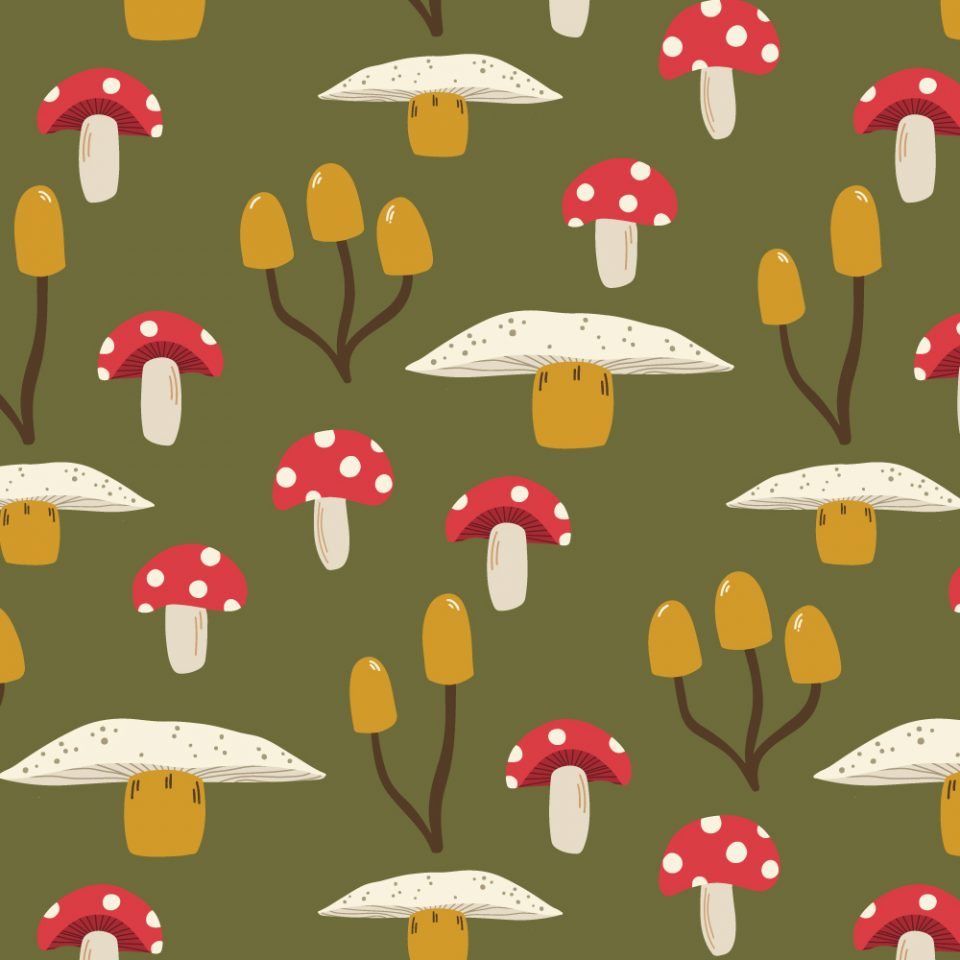 Mushroom Patterns - Sazerelli Designs